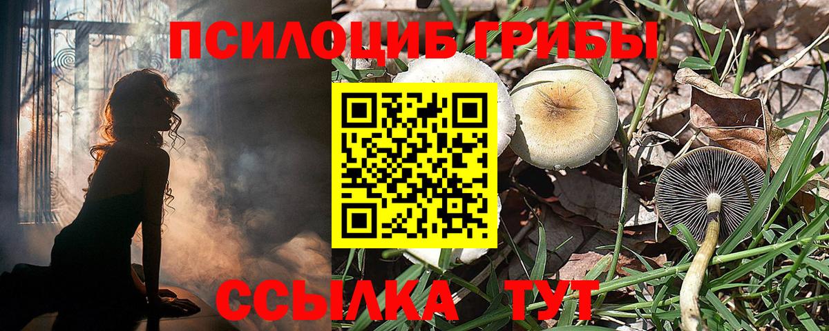 Красноармейск  как найти закладки  Вход с VPN  Галлюциногенные грибы ЛСД 