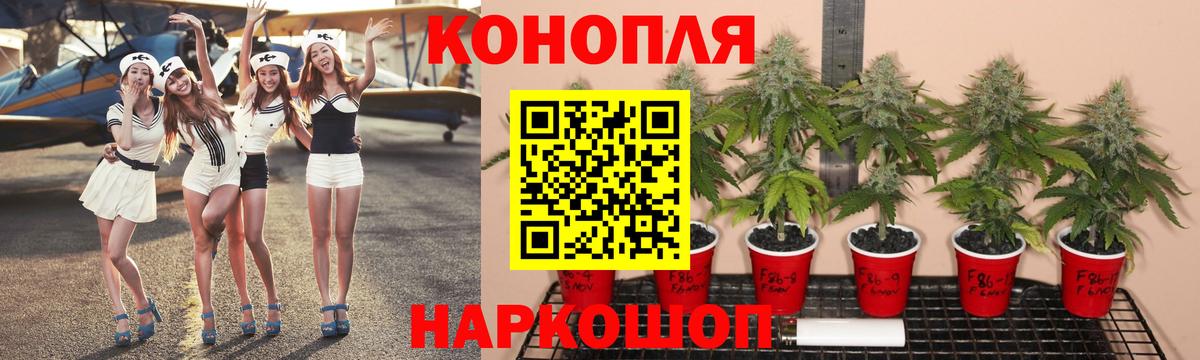 Марихуана сатива Красноармейск